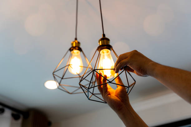 Best Ceiling Fan Installation Electrician  in Fennimore, WI