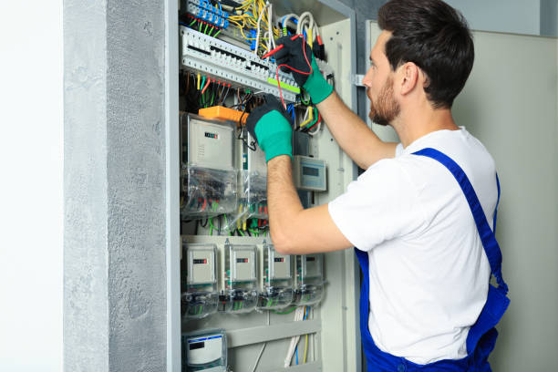 Best Electric Panel Repair  in Fennimore, WI